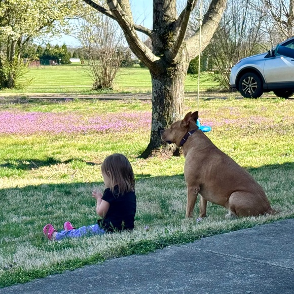 Meet your Posher, Melissa - Picture 2 of 12